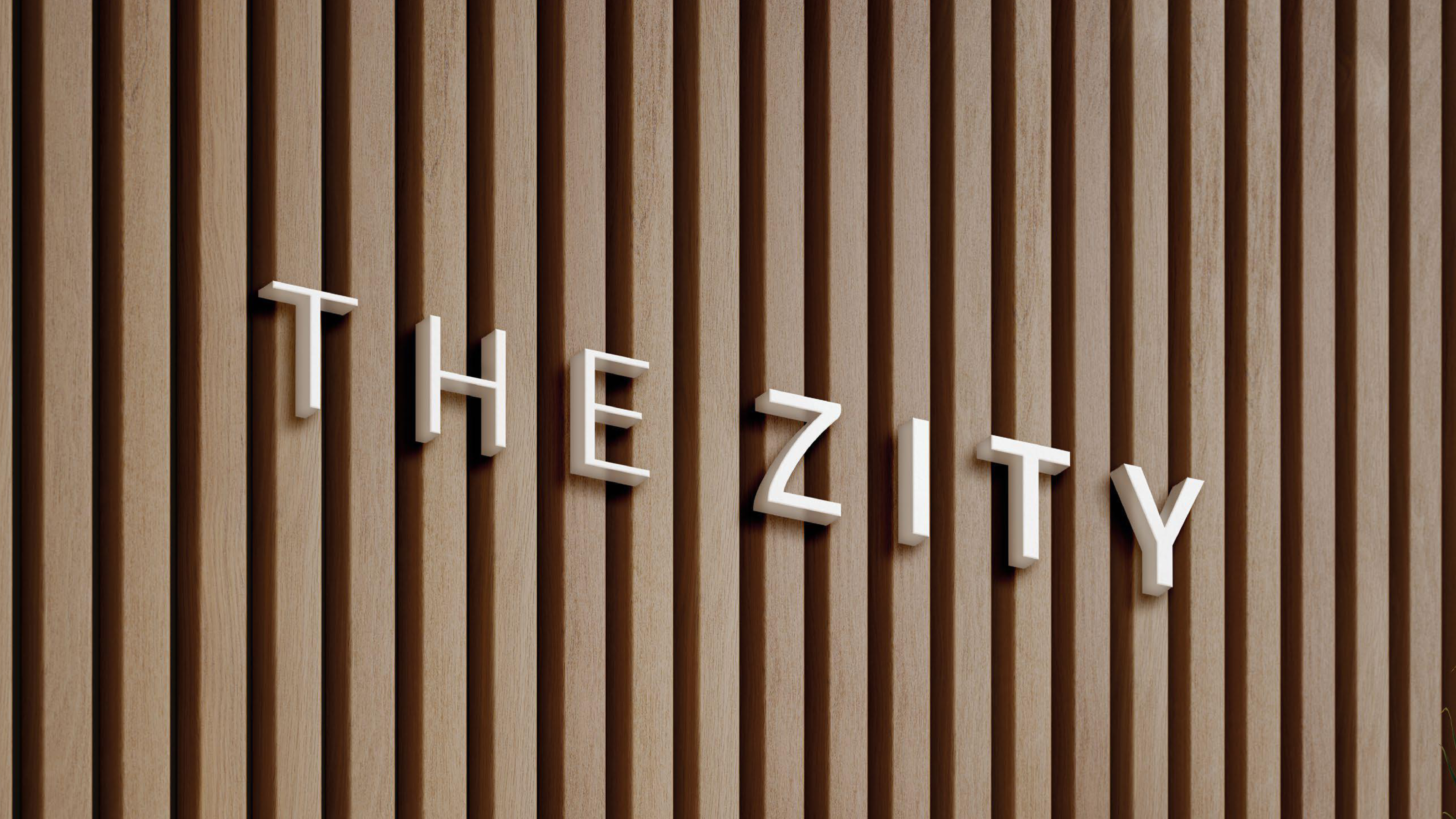 Proyecto: The Zity
